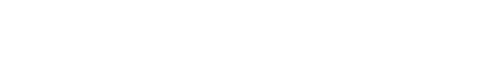 Daley Recruitment Logo WHITE